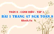 Bài 1 trang 47 SGK Toán 8 tập 1 Cánh Diều